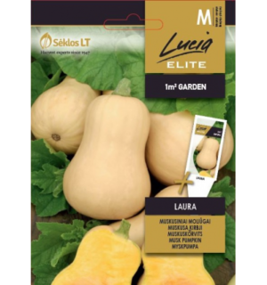 Muskus(muskaat)kõrvits Laura