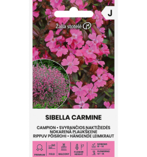 Rippuv põisrohi Sibella Carmine