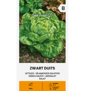 Salat "Zwart Duits"*7