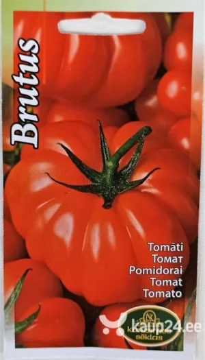 Harilik tomat Brutus