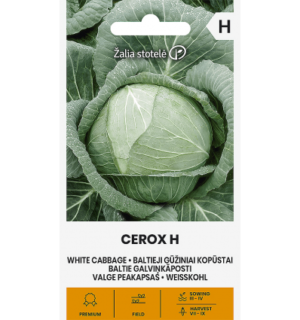 Valge peakapsas Cerox F1