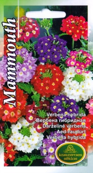 Aed-raudürt Mammouth segu