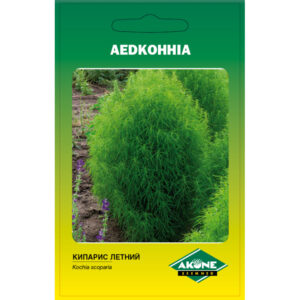 Aedkohhia
