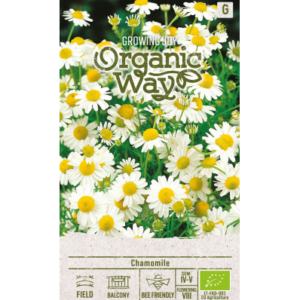 Apteegikummel Chamomile mahe