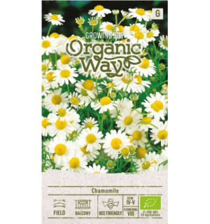 Apteegikummel Chamomile mahe