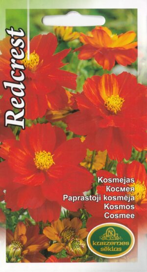 Kosmos Redcrest