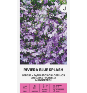 Lobeelia Riviera Blue Splash