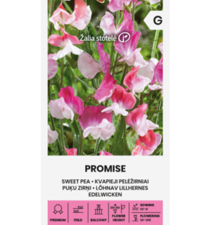 Lõhnav lillhernes Promise