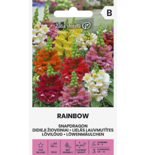 Lõvilõug Rainbow segu
