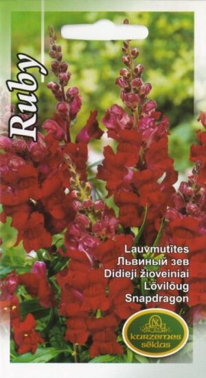 Lõvilõug Ruby