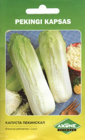 Pekingi kapsas Michihili