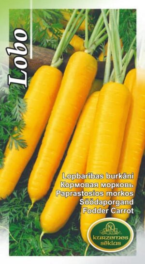 Söödaporgand Lobo