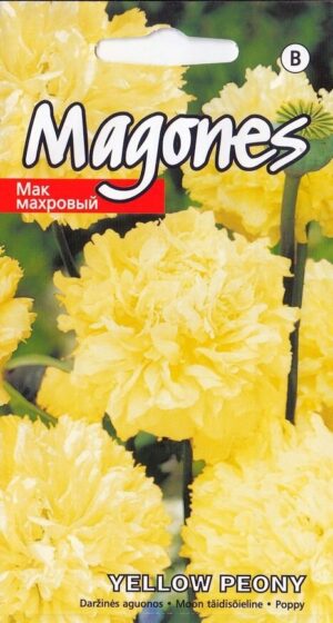 Täidisõieline moon Yellow Peony