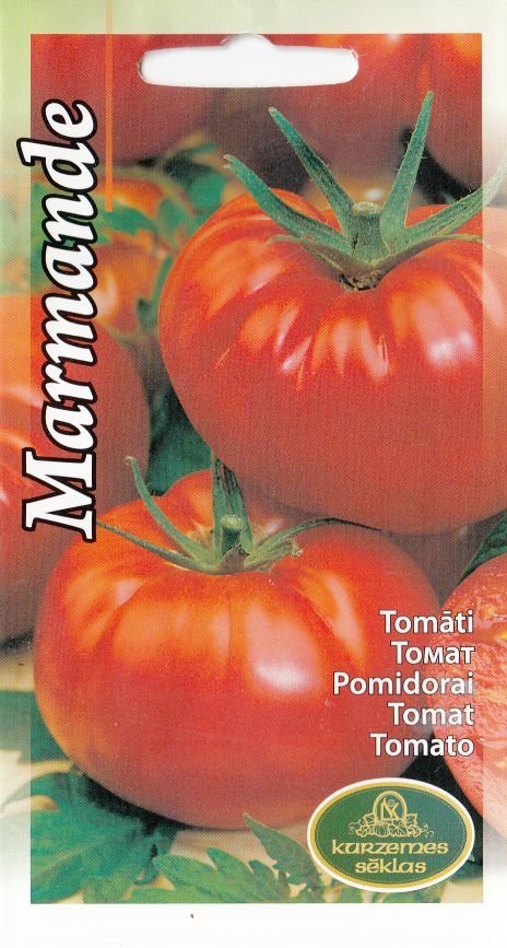 Tomat Marmande