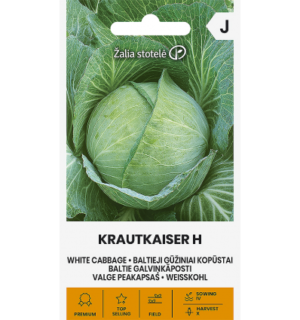 Valge peakapsas Krautkaiser H