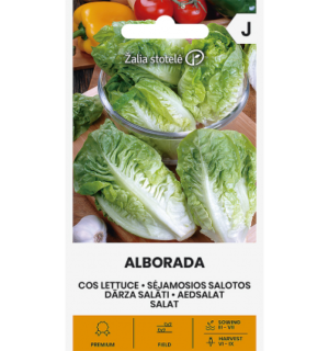 aed-salat-alborada