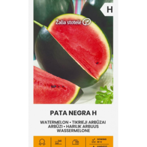 Arbuus Pata Negra F1