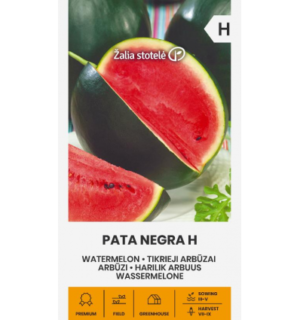 Arbuus Pata Negra F1