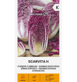 Hiina kapsas Scarvita H