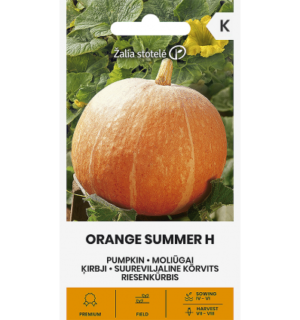 Suureviljaline kõrvits Orange Summer H