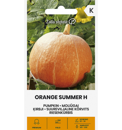 Suureviljaline kõrvits Orange Summer H