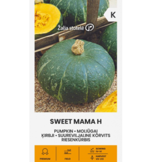 Kõrvits Sweet Mama H