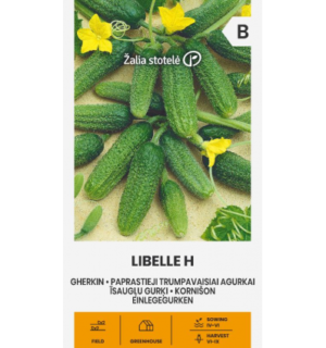 Kornišon kurk Libelle H