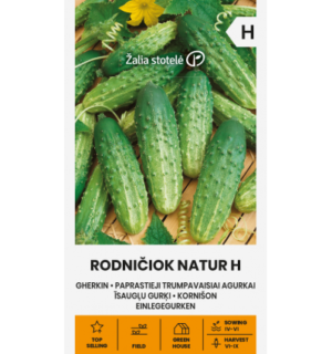 Kurk Rodniciok Natur H