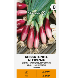 Lehtsibul Rossa Lunga Di Frenze
