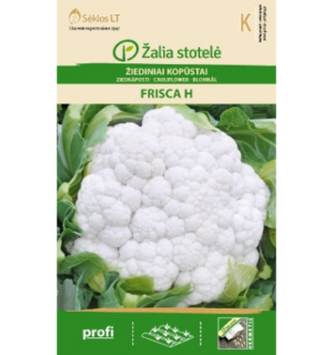 Lillkapsas Frisca F1