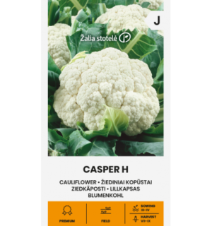 Lillkapsas Casper H