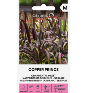 Neegri-hiidhirss Copper Prince H