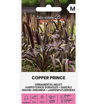 Neegri-hiidhirss Copper Prince H