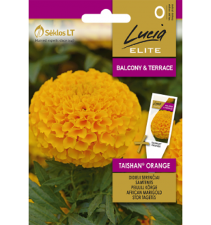 Peiulill Taishan Orange