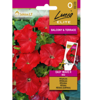 Petuunia Easy Wave H Red