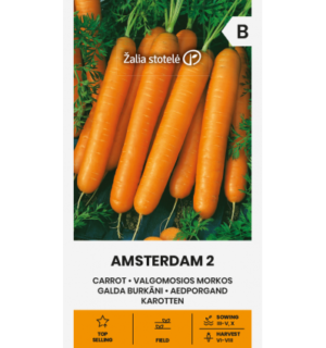 Aedporgand Amsterdam 2