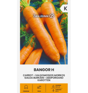 Aedporgand Bangor H