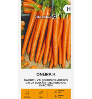 Aedporgand Oneira H