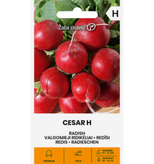 Redis Cesar H