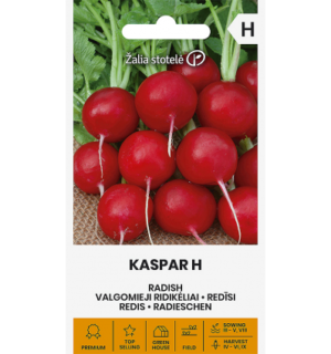 Redis Kaspar F1