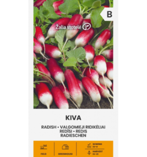 Redis Kiva