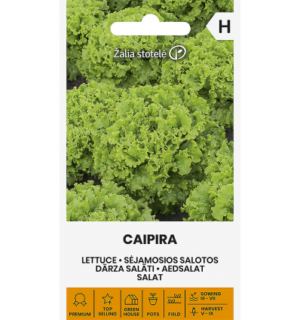 Aedsalat Caipira
