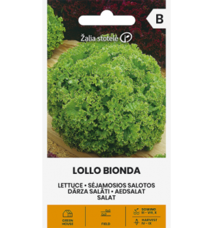 Aedsalat Lollo Bionda