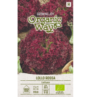 Aedsalat Lollo Rossa mahe