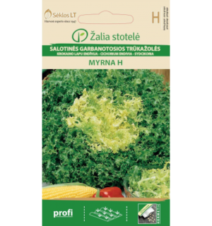 Salat Myrna F1