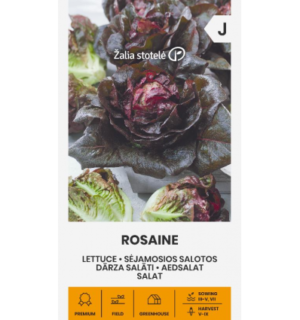 Aedsalat Rosaine punane