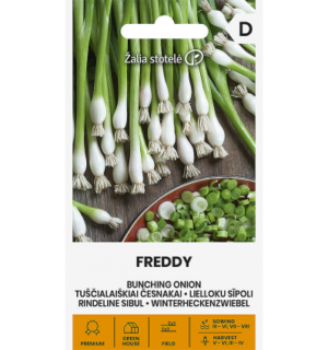 Rindeline sibul Freddy