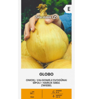 Harilik sibul Globo