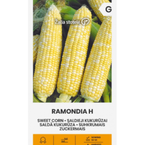 Suhkrumais Ramondia H