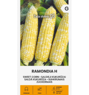 Suhkrumais Ramondia H